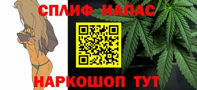 гашик Бузулук