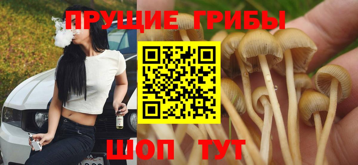 Псилоцибиновые грибы Cubensis Липецк