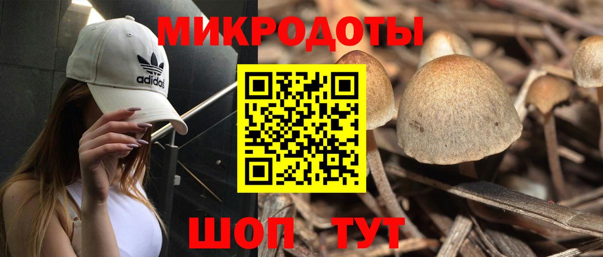 Галлюциногенные грибы Psilocybine cubensis  Псилоцибиновые грибы Psilocybe  Липецк  Вход с VPN 